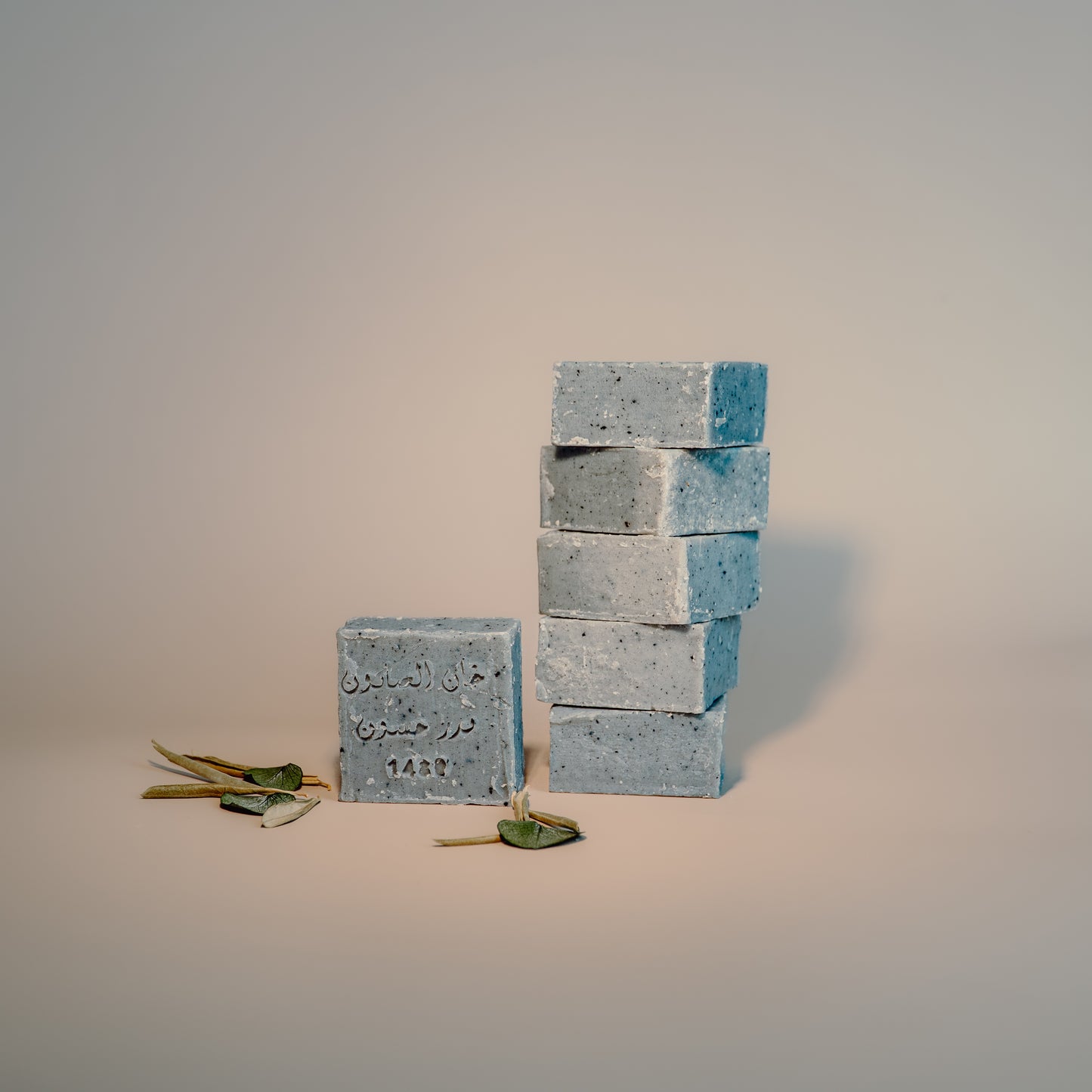 Charcoal Soap 6-pack