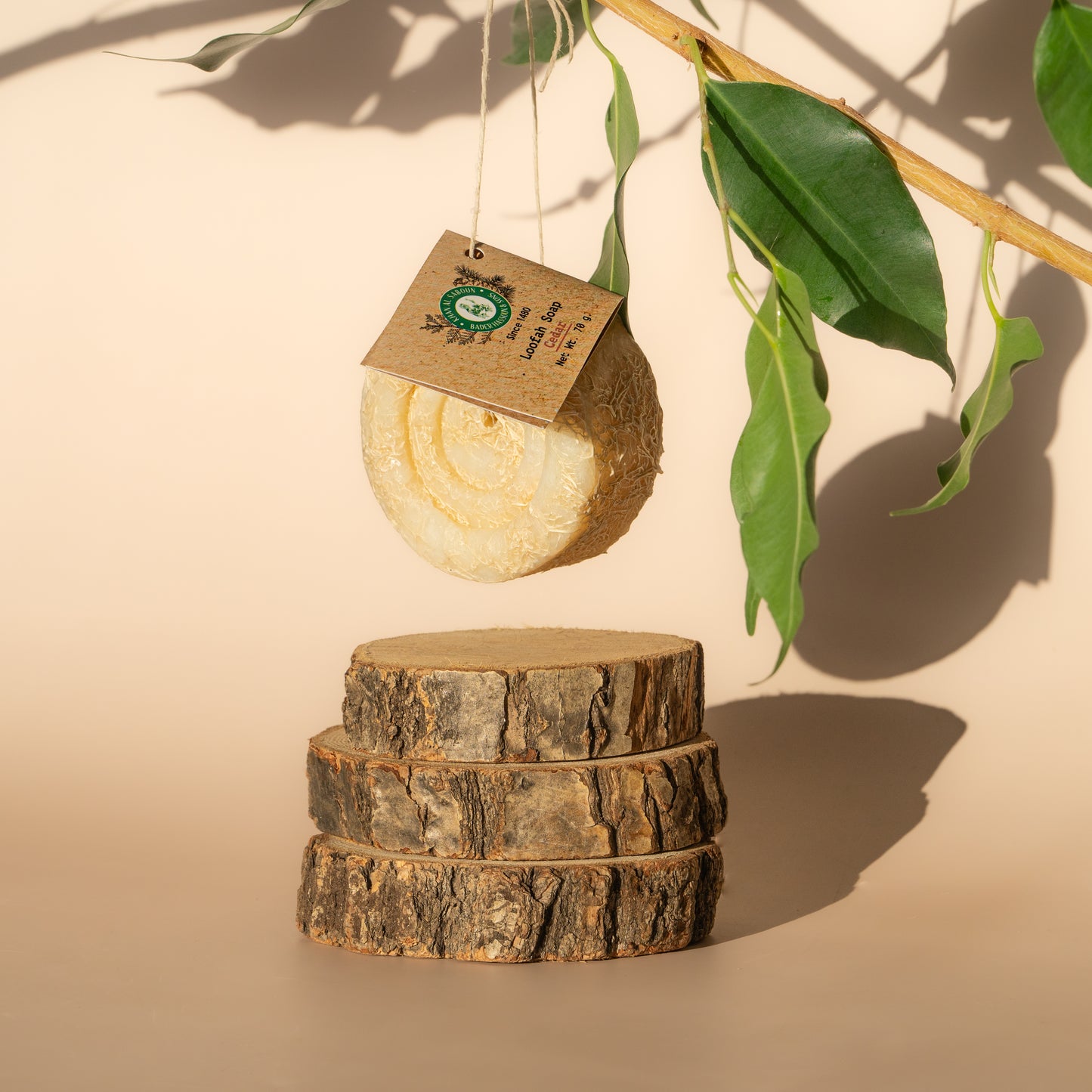 Herbal Soap Cedar Wood With Loofah